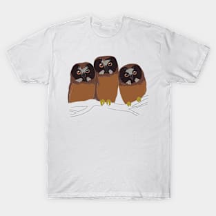 Saw whet owl T-Shirt